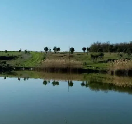 شقة Rustic Village Retreat *