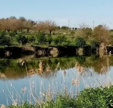 شقة Rustic Village Retreat *