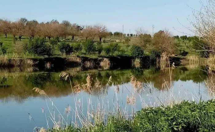 Apartmán Rustic Village Retreat *