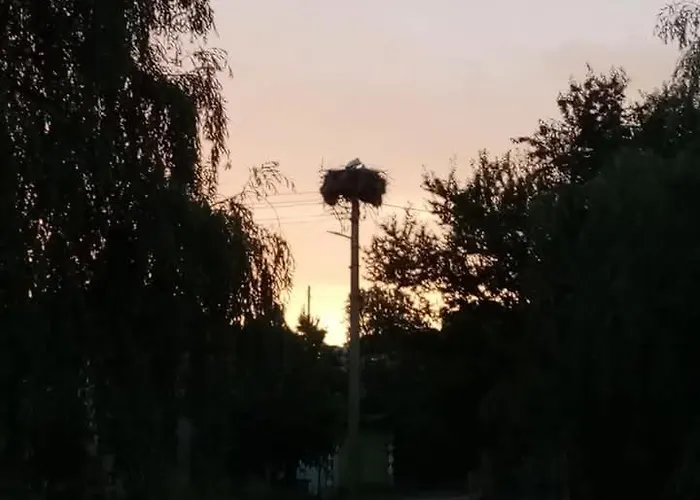 Rustic Village Retreat Apartment *